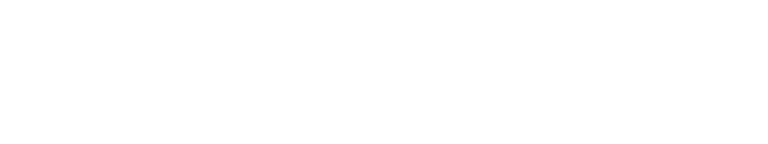 Logo 9